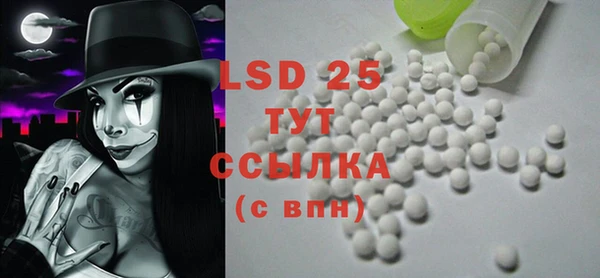 ПСИЛОЦИБИНОВЫЕ ГРИБЫ Новозыбков
