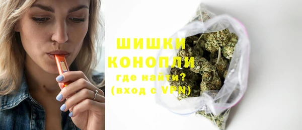стаф Новодвинск