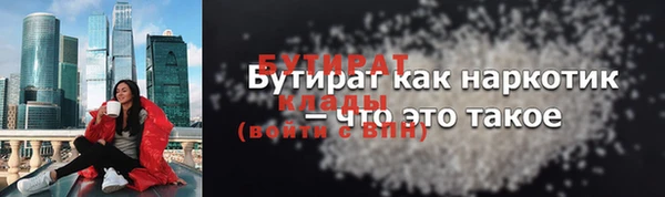 ПСИЛОЦИБИНОВЫЕ ГРИБЫ Новозыбков