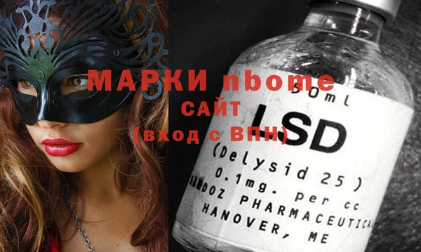 стаф Новодвинск