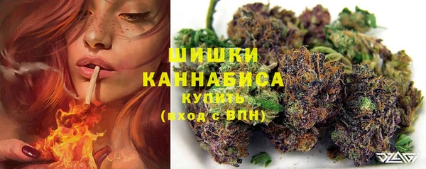 ПСИЛОЦИБИНОВЫЕ ГРИБЫ Новозыбков