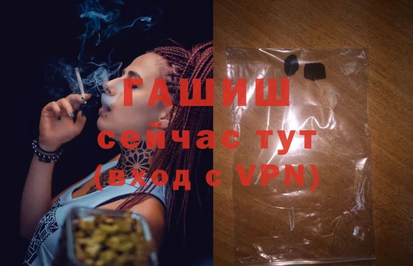 ПСИЛОЦИБИНОВЫЕ ГРИБЫ Новозыбков