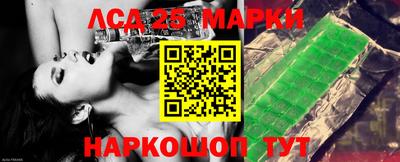 гидропоника Камышлов