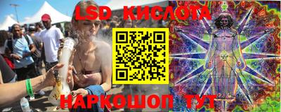 гидропоника Камышлов