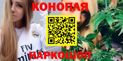 стаф Берёзовский