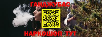 гидропоника Камышлов