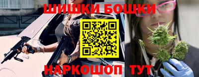 гидропоника Камышлов