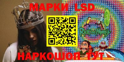 стаф Берёзовский