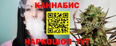гидропоника Камышлов