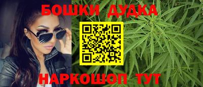гидропоника Камышлов