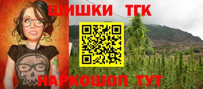 гидропоника Камышлов
