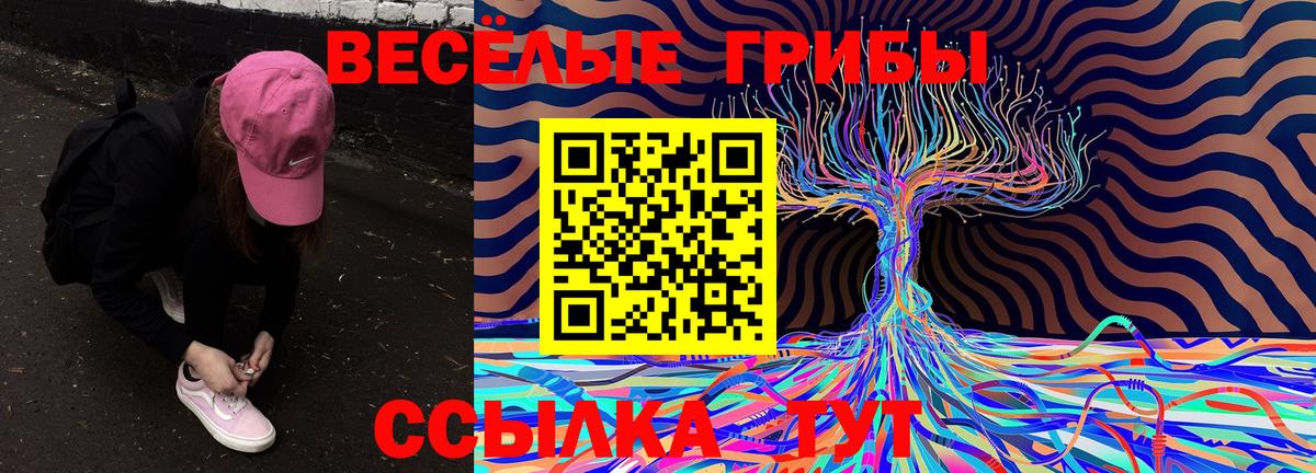 Псилоцибиновые грибы Cubensis  Морозовск  Галлюциногенные грибы Cubensis 